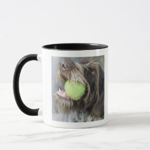 Mug Balle de tennis acérée de chien d'indicateur, pl