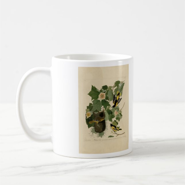 Mug Baltimore Oriole - d'Audubon's Birds of America (Gauche)