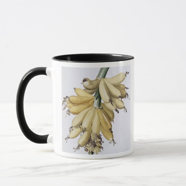 Mug Banane, 1816 (Gauche)