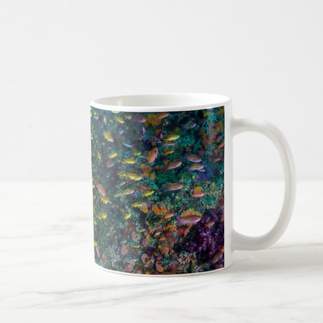 Mug Bancs de poissons nagent dans le récif (Droite)