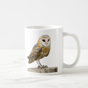 Mug Barn Owl