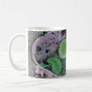 Mug Bassin de marée du Nord-Ouest Pacifique avec des a