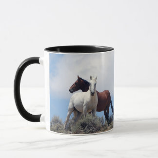 Mug Bassin de Sand Wash