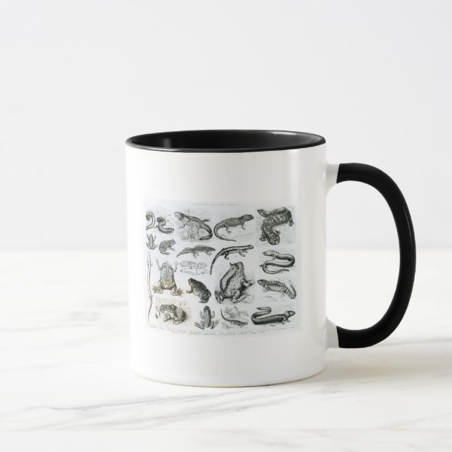 Mug Batraciens et d'autres amphibiens (Droite)