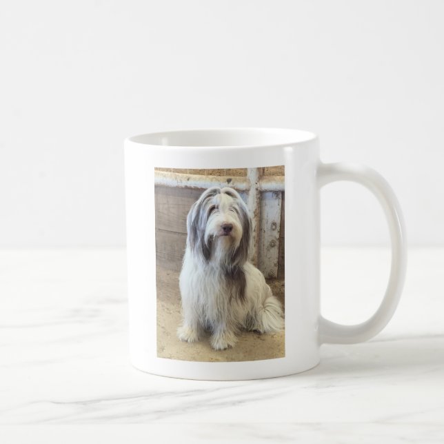 Mug Bearded Collie (Droite)