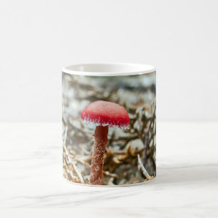 Mug Beau champignon sauvage dans un champ d'automne
