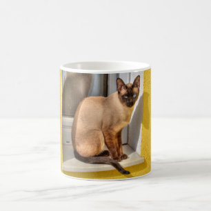 Mug Beau Chat Siamais