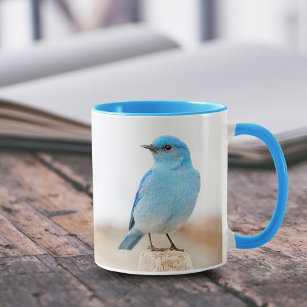 Mug Beau oiseau bleu de montagne sur la plage Stump