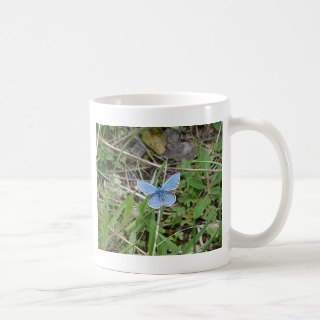 Mug Beau Papillon Bleu (Droite)