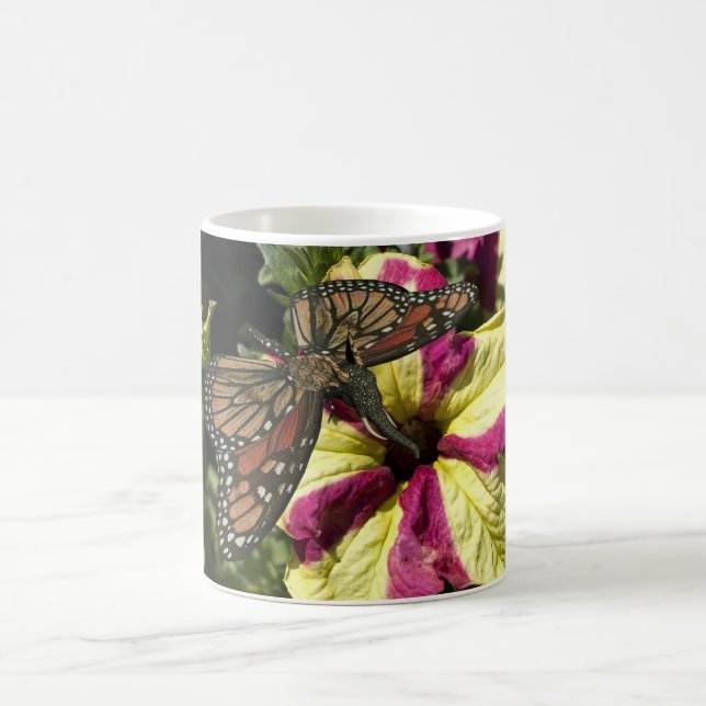 Mug Beau papillon éléphant (Centre)