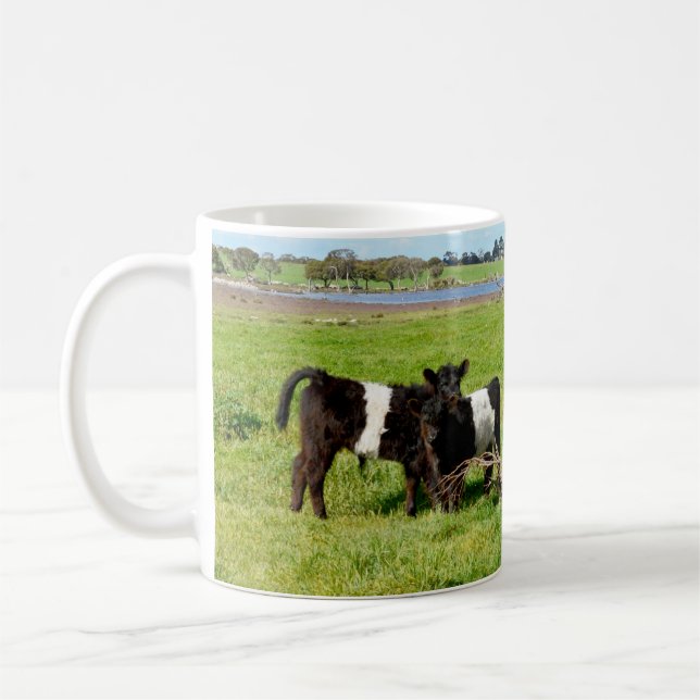 Mug Bébé Belted Vaches Galloway Dans Le Pays, (Gauche)