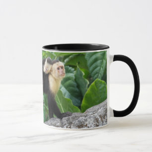 Mug Bébé de transport de singe adulte de capucin sur