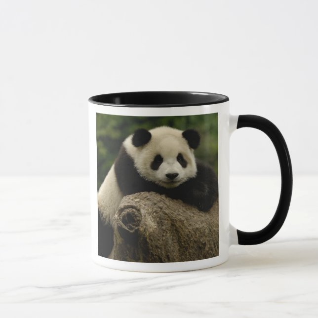 Mug Bébé panda géant (Ailuropoda melanoleuca) (Droite)