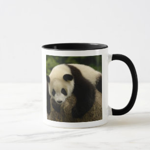 Mug Bébé panda géant (Ailuropoda melanoleuca)
