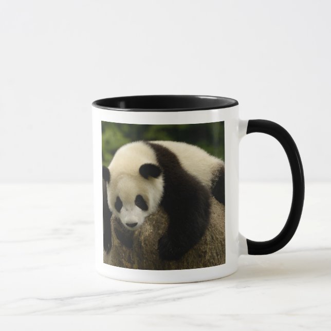 Mug Bébé panda géant (Ailuropoda melanoleuca) (Droite)