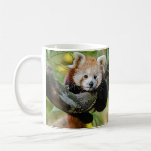 Mug Bébé panda roux