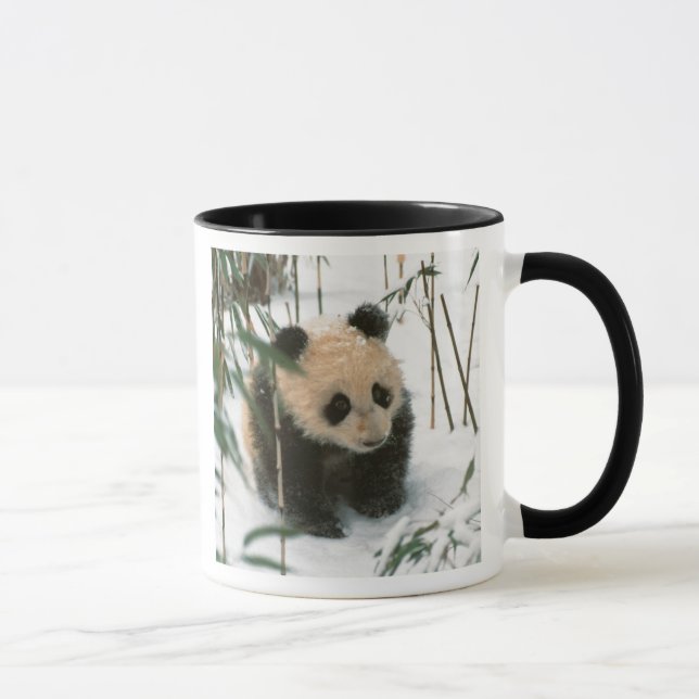 Mug Bébé panda sur la neige, Wolong, Sichuan, Chine (Droite)