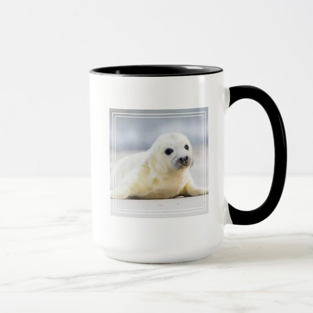 Mug Bébé phoque des images | de Getty (Droite)
