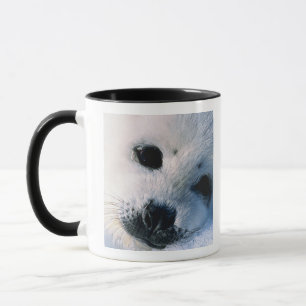 Mug Bébé phoque d'harpe 2