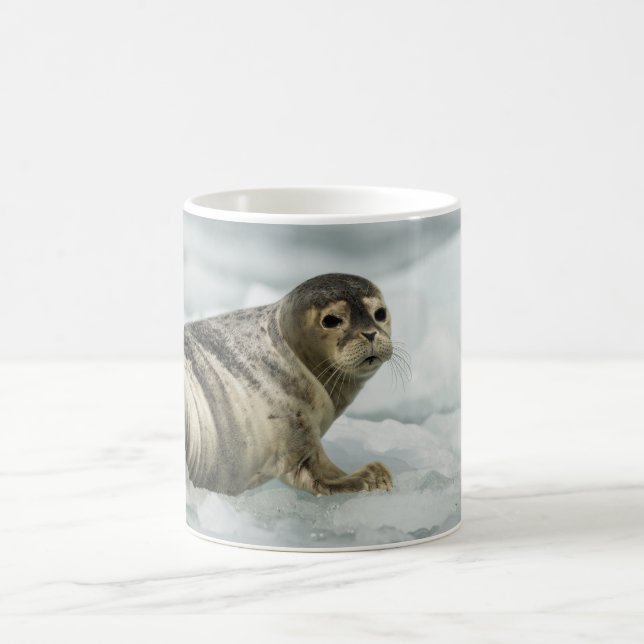 Mug Bébé Phoque Précieux (Centre)