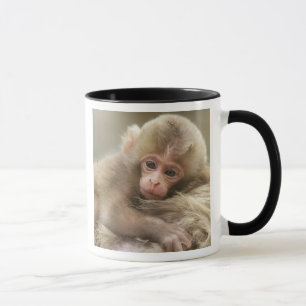 Mug Bébé singe des neiges, Jigokudani, Nagano, Japon 2