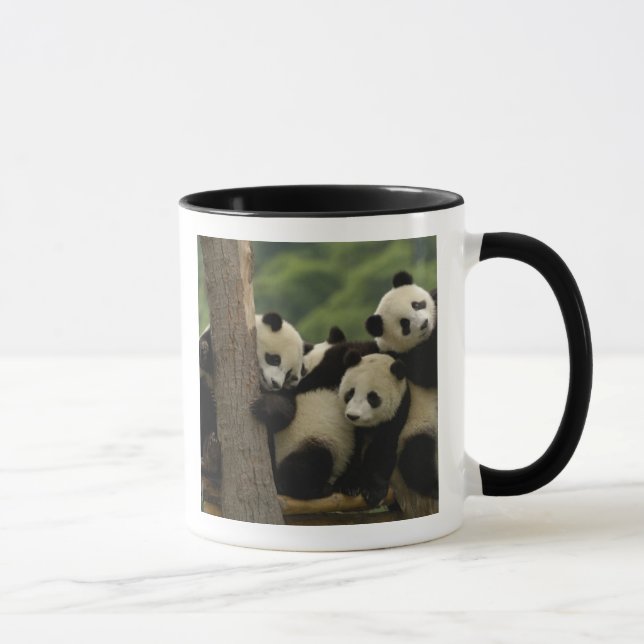 Mug Bébés panda géant Ailuropoda melanoleuca) (Droite)