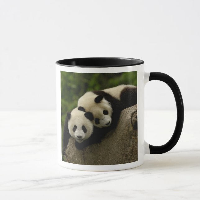 Mug Bébés panda géant (Ailuropoda melanoleuca) (Droite)