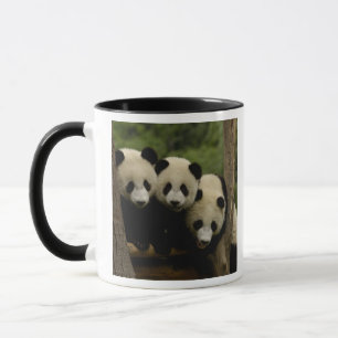 Mug Bébés pandas géants (Ailuropoda melanoleuca)