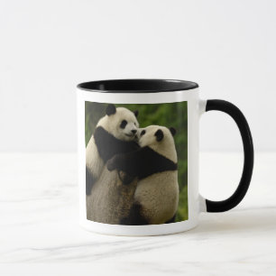 Mug Bébés pandas géants (Ailuropoda melanoleuca)