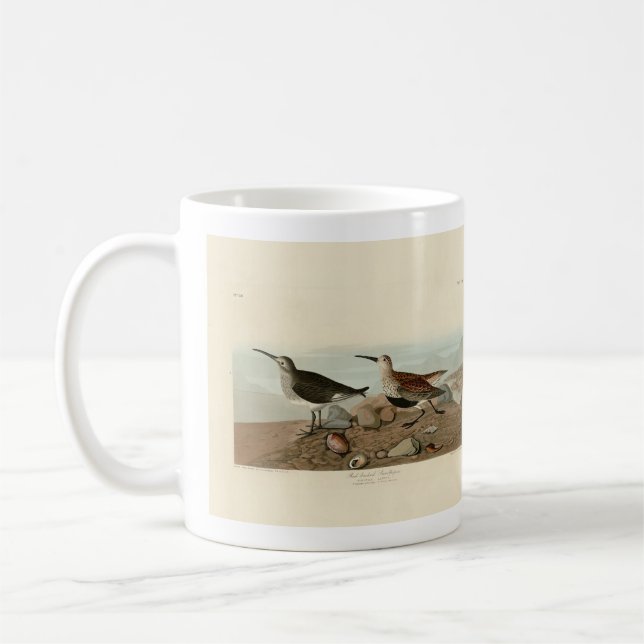 Mug Bécasseau à dos rouge - Audubon's Birds of America (Gauche)