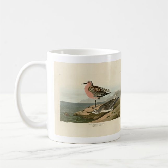 Mug Bécasseau à poitrine rouge, Oiseaux d'Amérique d'A (Gauche)