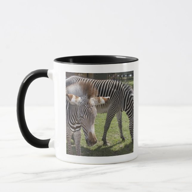 Mug Bedfordshire, Angleterre (Gauche)
