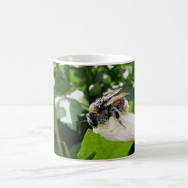 Mug Bee in summer (Centre)
