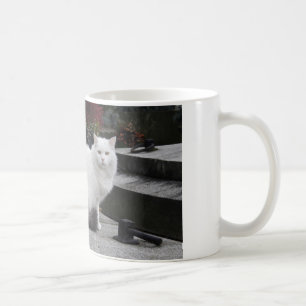 Mug Belle Chat Blanc Sur Une Grave