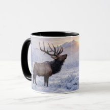 Belle fête de Noël avec un élan dans la neige
