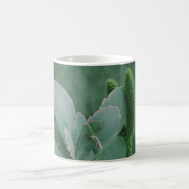 Mug Belle photo d'art Plante du désert (Centre)