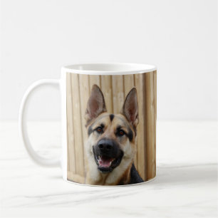Mug Berger allemand assis à la clôture en bois