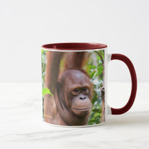 Mug Bernie Orangutan
