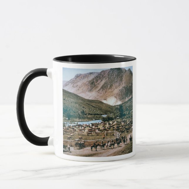 Mug Bétail, le Colorado, 1899 (photo) (Gauche)