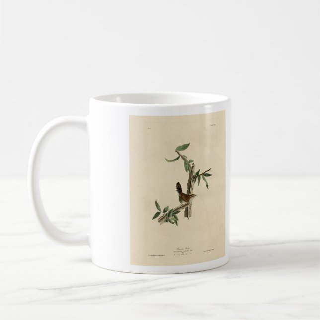 Mug Bewick's Wren de Audubon's Birds of America (Gauche)