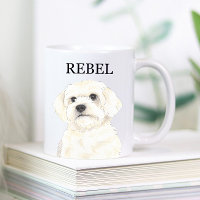 Bichon, Bologne, Coton, Havanais, Maltais