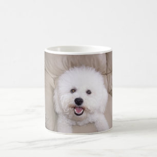 Mug Bichon Frise