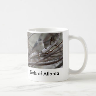 Mug bird4, oiseaux d'Atlanta
