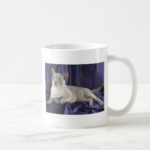 Mug Birman, lilas