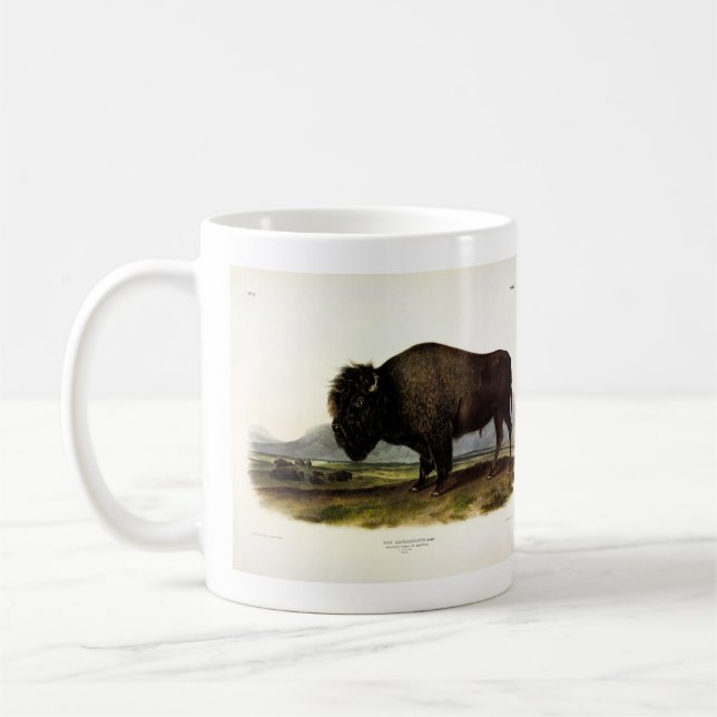 Mug Bison américain, ou bison (bison) - Audubon (Gauche)