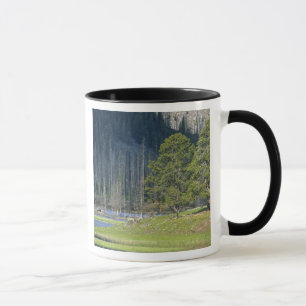 Mug Bison avec son petit au Parc national de Yellowsto