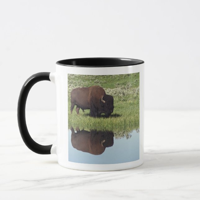 Mug Bison (bison de bison) sur le pré herbeux (Gauche)
