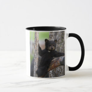 Mug Black Bears Cub Lounge