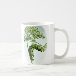 Mug Black Swallowtail Caterpillar mangeant du persil