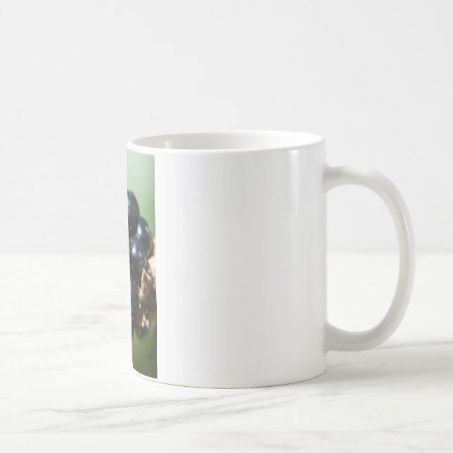 Mug Blackberry (Droite)